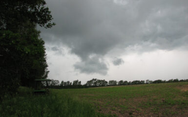 Storm in Michigan