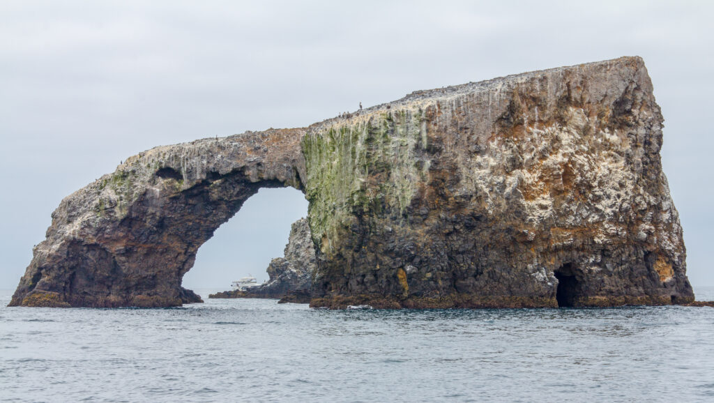 Anacapa Island Arch, Channel Islands National Park