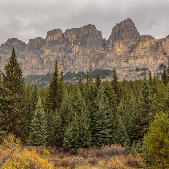 Castle Mountain