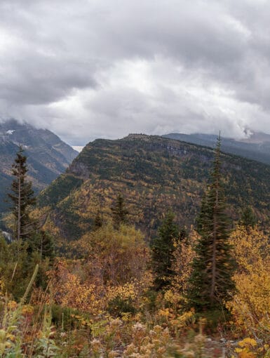 Glacier National Park’s Going to the Sun Road