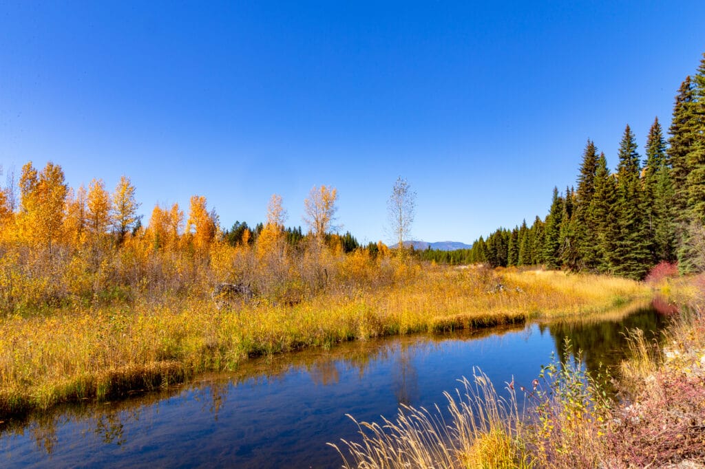 North Fork Flathead River in Glacier National Park, Montana