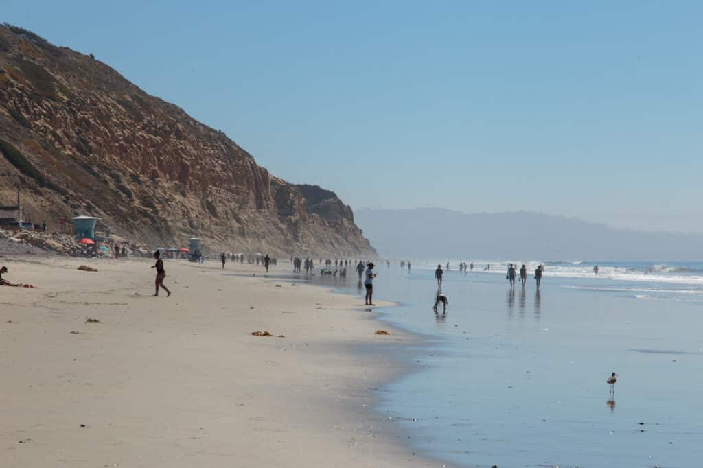 Torrey Pines Beach