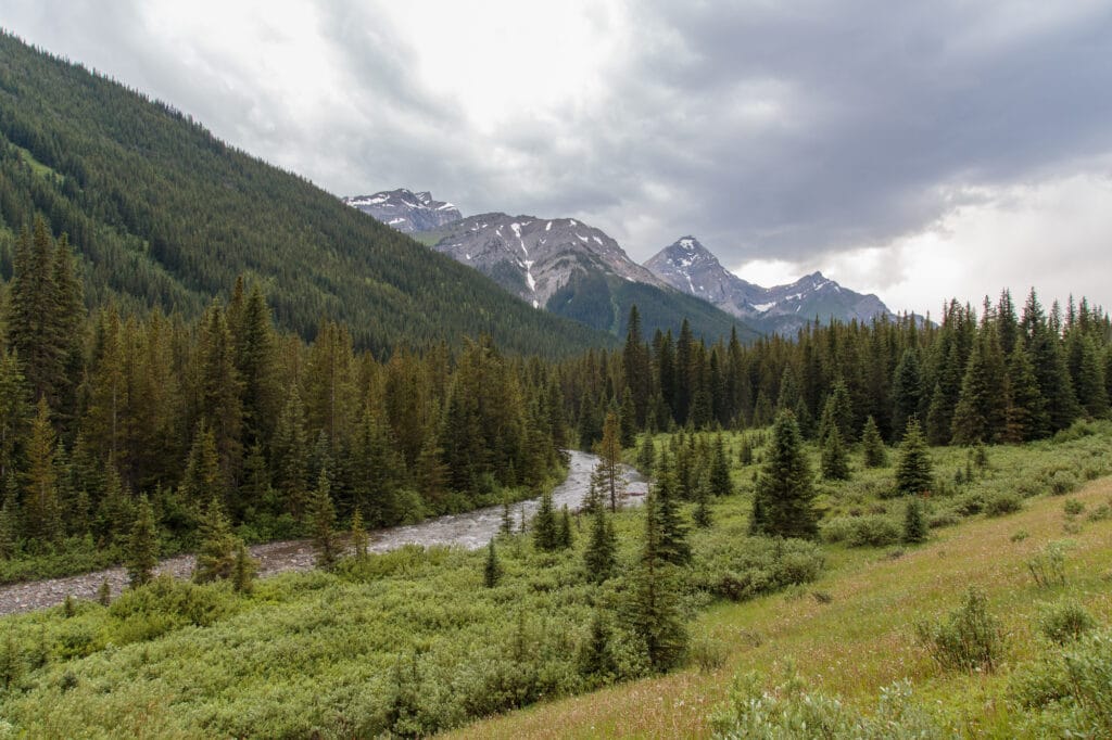 The Upper Kananaskis River flows in front of Mount Murray in Peter Lougheed Provincal Park, Kananaskis Country, Alberta, Canada