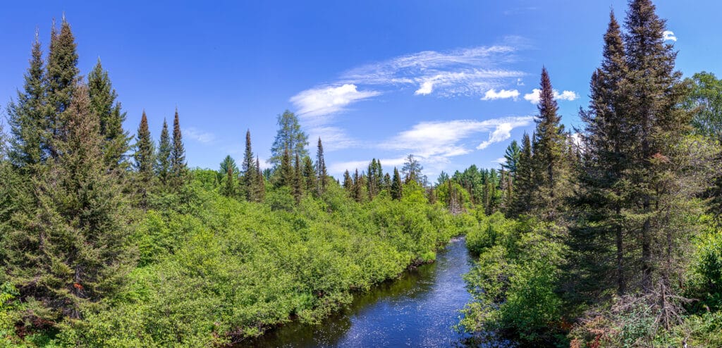 Stream in Upper Peninsula