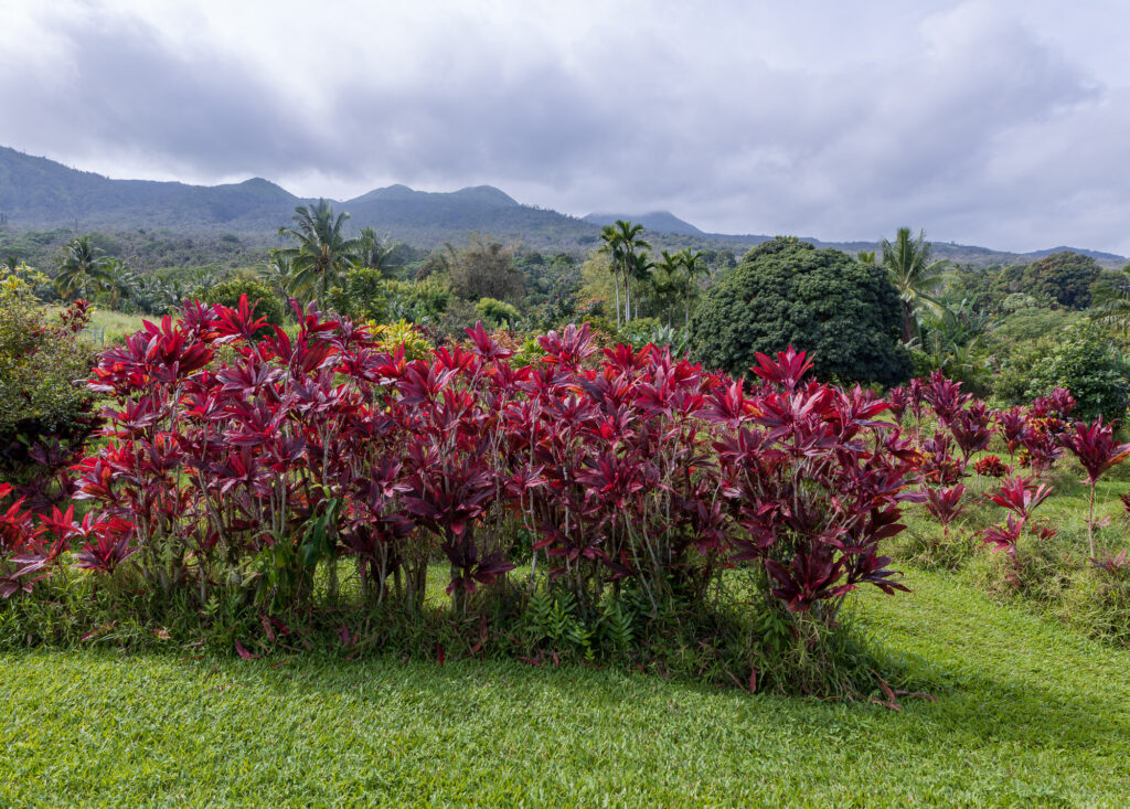 Mountains on Maui