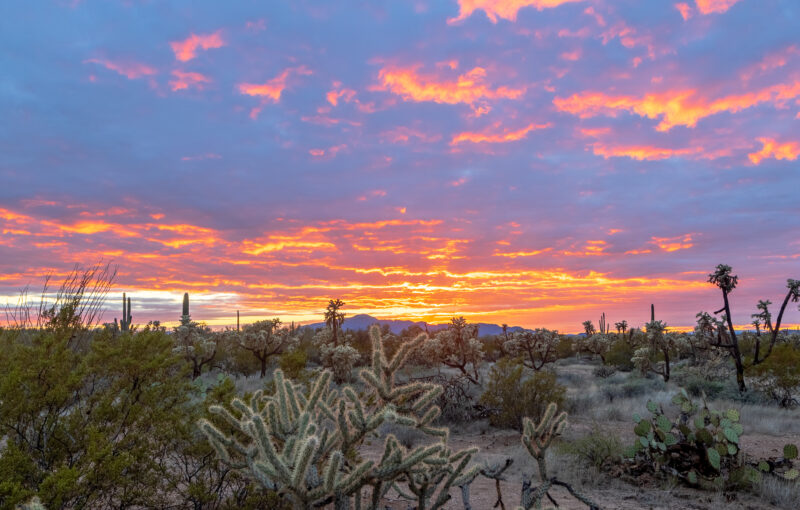 Sunset in Arizona during a cloudy day