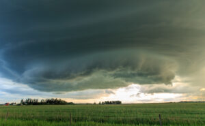 Near Didsbury, AB