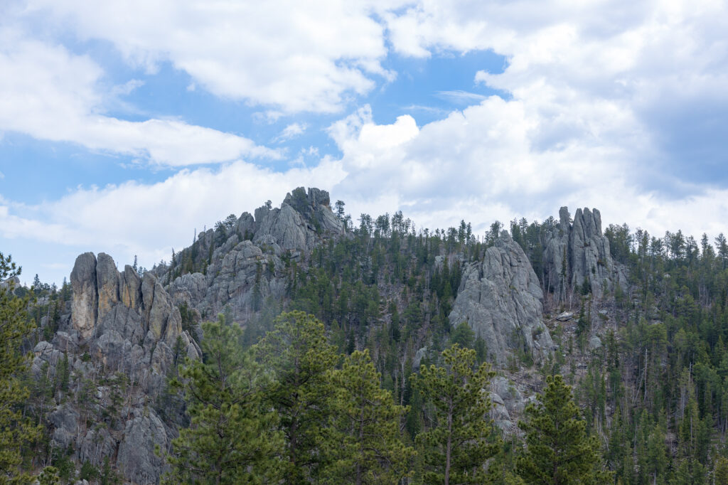 Needles in South Dakota