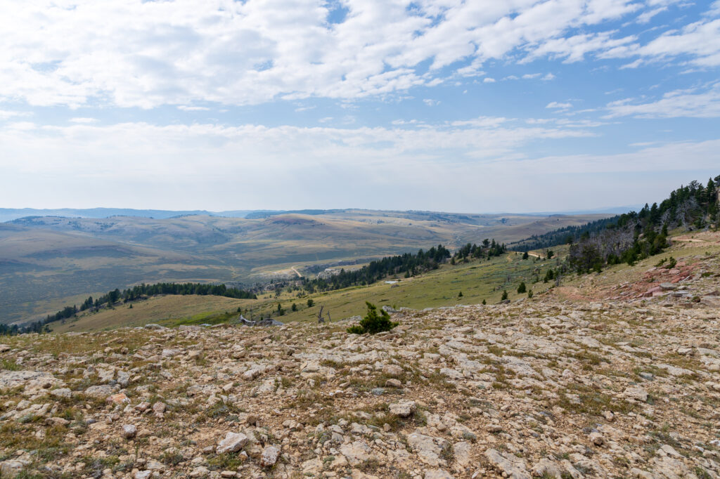 On top of Gardner Mountain