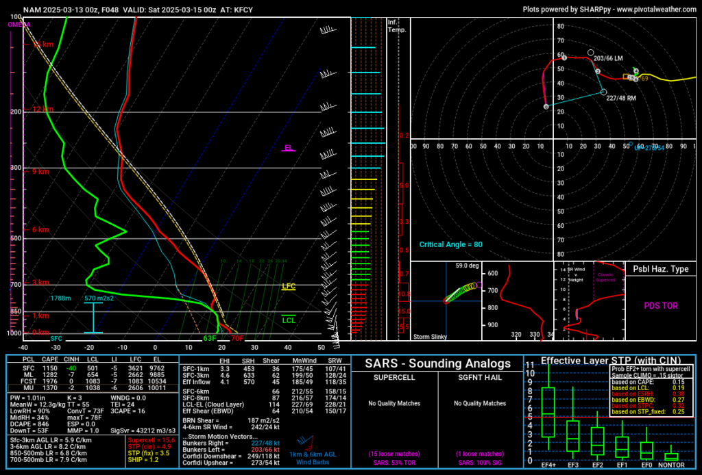 2024-03-13 00Z NAM 48 hour forecast sounding for Forrest City Arkansas (KFCY)